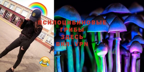 mdpv Верея