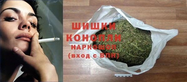 спайс Богданович